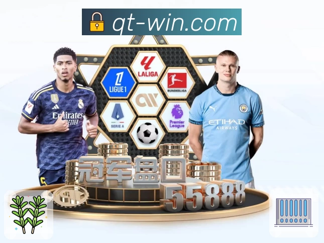 体育平台欢迎图